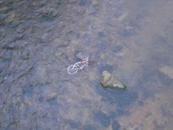 Fotos Fahrradbergung