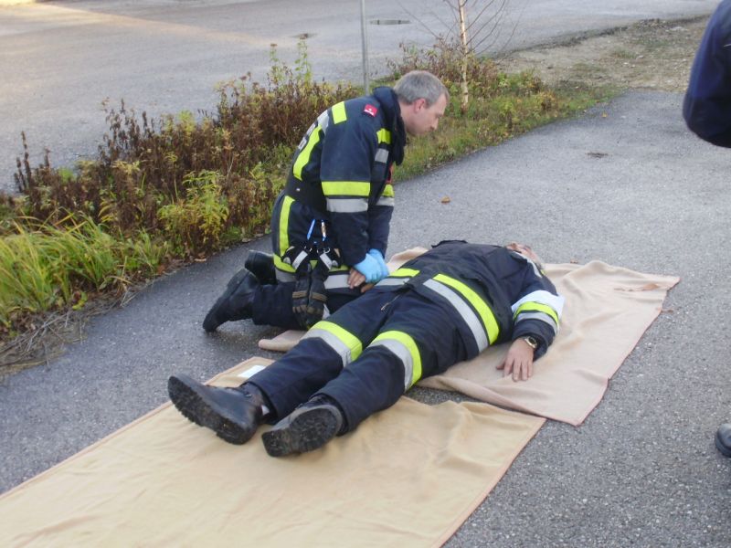 Fotogalerie Ausbildungspr�fung Bronze