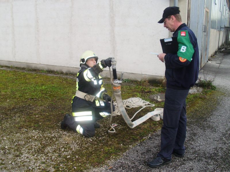 Fotogalerie Ausbildungspr�fung Silber