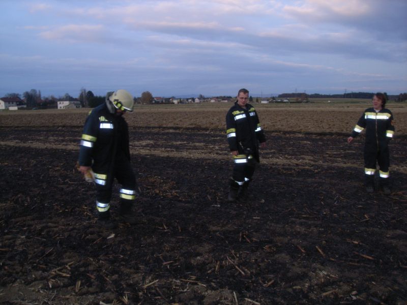 Bilder Wiesenbrand in Ulmerfeld