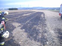 Bilder Wiesenbrand in Ulmerfeld
