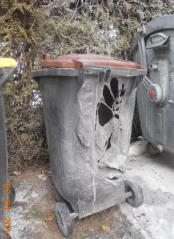 Bildergalerie M�lltonnenbrand