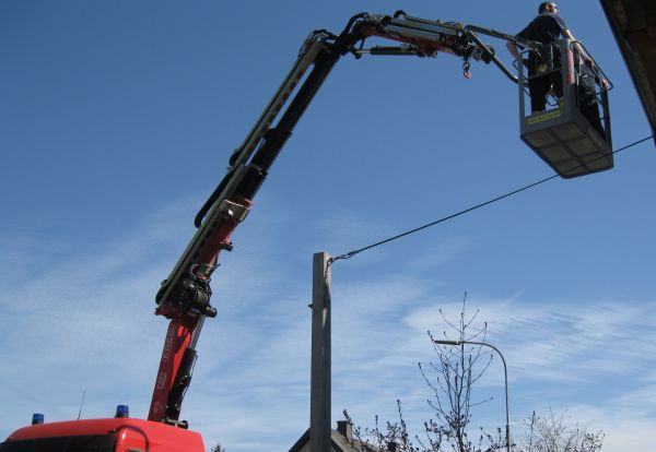 Fotogalerie Nistk�sten