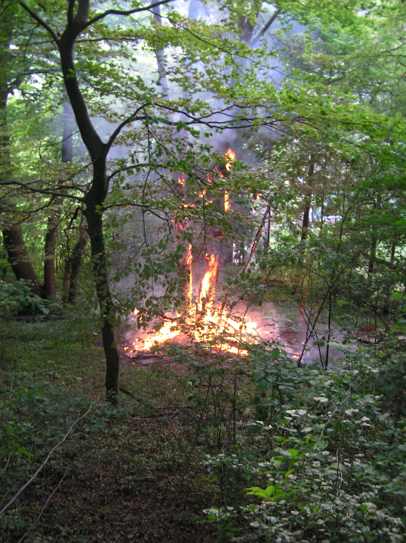 18_05_2012_Waldbrand Falkensteig