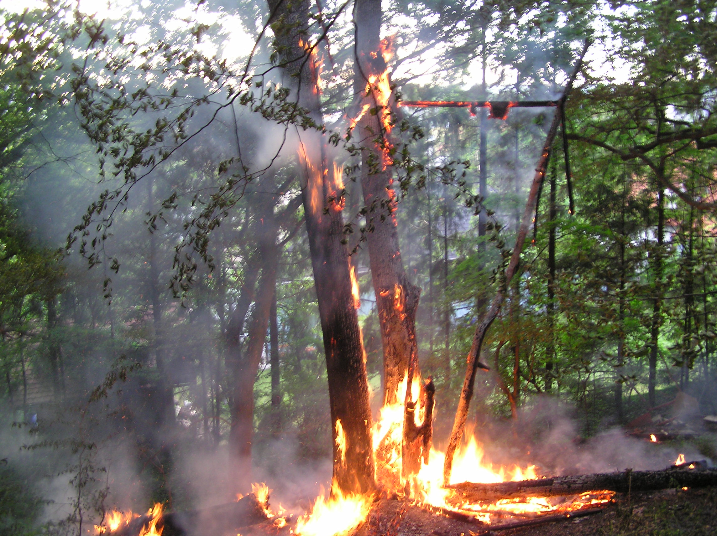 18_05_2012_Waldbrand Falkensteig