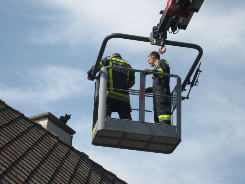 Tierrettung