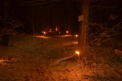 21.12.2012.Waldweihnacht 