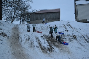 15.02.2013 Bob & Sacklrutschen