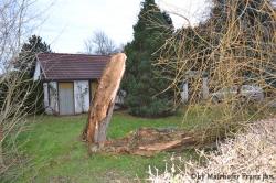 Sturmschaden 09.01.2015