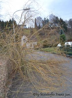 Sturmschaden 09.01.2015