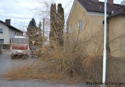 Sturmschaden 09.01.2015